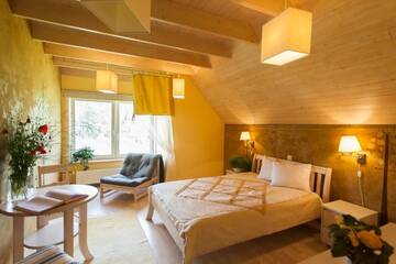 Фото номера Двухместный номер с 1 кроватью Гостевой дом Altmõisa Guesthouse г. Tuuru 7